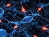 Как устроены нейронные сети?